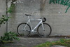 RIP Merckx Pista. EDIT: She Will Survive photo