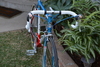 Eddy Merckx Max Motorola Team Bike photo