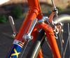 Eddy Merckx Molteni replica photo