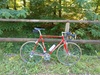 Eddy Merckx MX Leader photo