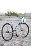 Eddy Merckx Pista photo