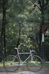 Eddy Merckx Pista photo