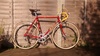 Eddy Merckx "signature" Professional photo