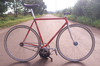 Eddy Merckx Strada OS photo