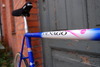 El rey's - Custom Colnago pista photo