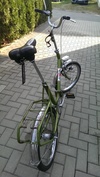 05 Elite folding bike [Rest In Pieces] photo