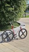 Elite Shape 650c photo Elite Shape 650c photo