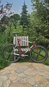 Elite Shape 650c photo Elite Shape 650c photo