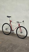 Elite Shape 650c photo Elite Shape 650c photo