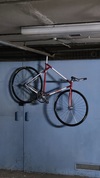 Elite Shape 650c photo Elite Shape 650c photo