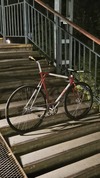 Elite Shape 650c photo Elite Shape 650c photo