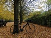 Emonda ALR photo