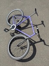Endorphin photo