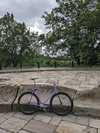 Endorphin photo