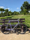 Endorphin photo