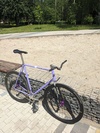 Endorphin photo