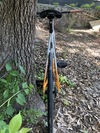 First real bike photo