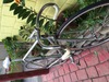 Everest Record 1975 Track Bike photo