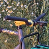 Everyday tracklocross bike photo Everyday tracklocross bike photo