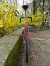 Faggin pista photo