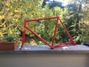 Faggin Pista repainted in Red photo