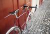 Faggin Randonneur photo