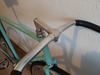 Fake Bianchi Pista photo