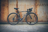 Falco Peregrine (china) Road Bike photo