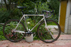 Fangio Ghetto CX1 photo