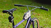 Fat Chance "Monster Fat" 1992 photo
