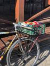 2020 Oduwan Bikes Coppion (RIP) photo