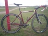 Felt Breed SSCX photo