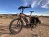 Felt Totem photo