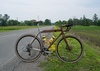 Firefly All Road photo