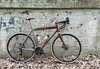 Firefly All Road photo