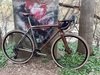 Firefly All Road photo
