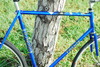 firenze gl 2000 fixed gear conversion photo