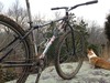 Fixed Gear MTB photo