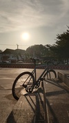 Fixed Gear PANDORA photo