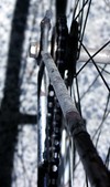 Fixie 2 photo