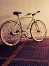 FIXIE BRIAN KONIG photo