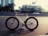 FIXIE GEAR photo