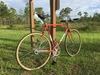 Flandria fixie conversion photo