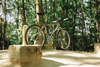 Focus Highland Peak (1990s) photo