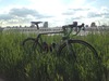 Focus Izalco photo