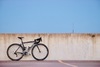 Focus Izalco Max photo