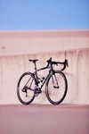 Focus Izalco Max photo