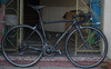 Focus Izalco Pro photo