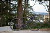 Focus Izalco Pro photo