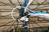 Focus Izalco Pro photo